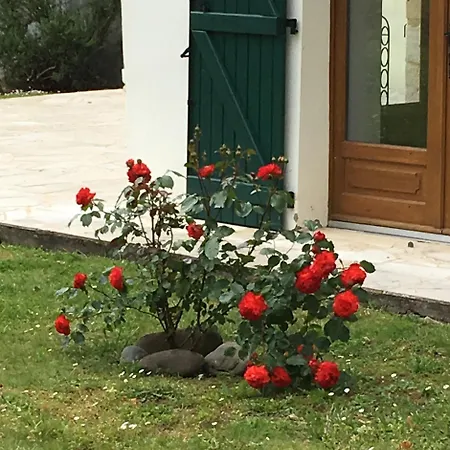 Maison Mailhes - Space, Style And Comfort In Rural South West France * Carresse